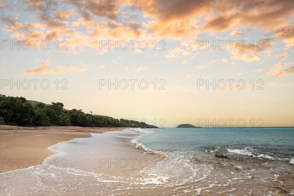 Lonely, wide sandy beach with turquoise-coloured sea. Tropical plants in a bay at sunset in the