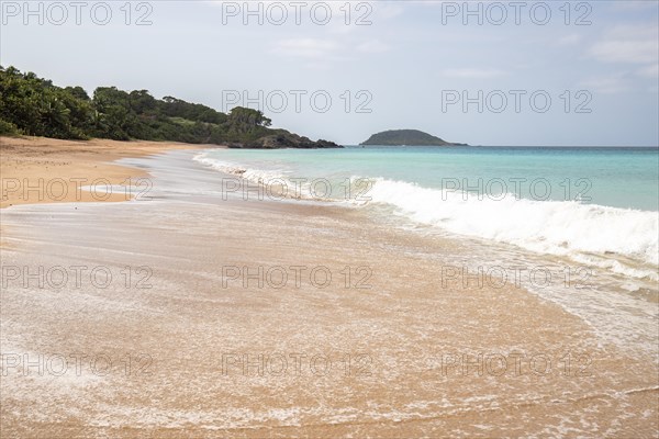 Lonely, wide sandy beach with turquoise-coloured sea. Tropical plants in a bay in the Caribbean