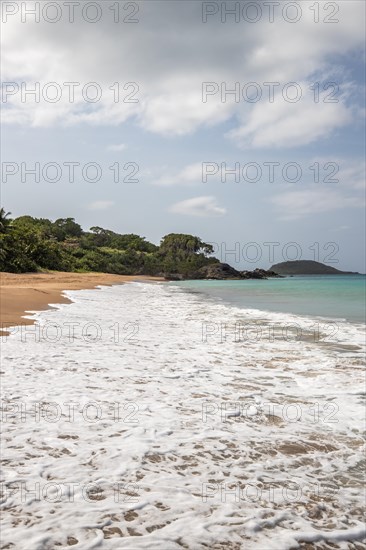 Lonely, wide sandy beach with turquoise-coloured sea. Tropical plants in a bay in the Caribbean