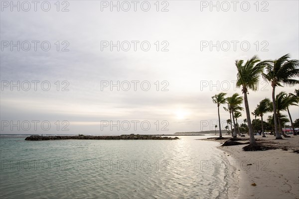 Caribbean dream beach with palm trees, white sandy beach and turquoise-coloured, crystal-clear