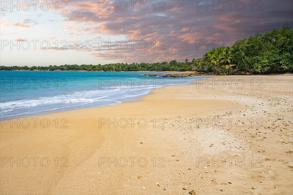 Lonely, wide sandy beach with turquoise-coloured sea. Tropical plants in a bay at sunset in the
