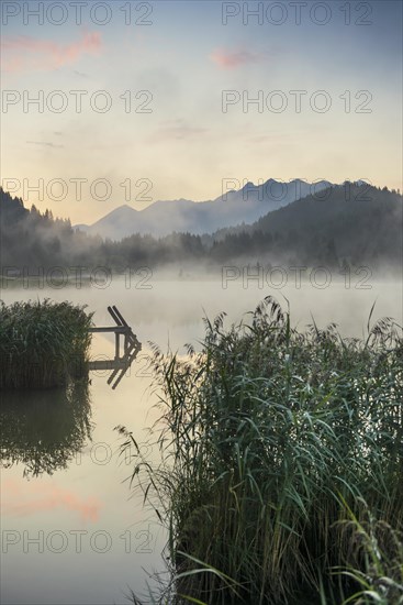 Sunrise and morning fog, Geroldsee or Wagenbruechsee, Kruen near Mittenwald, Werdenfelser Land,