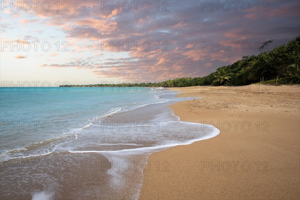 Lonely, wide sandy beach with turquoise-coloured sea. Tropical plants in a bay at sunset in the