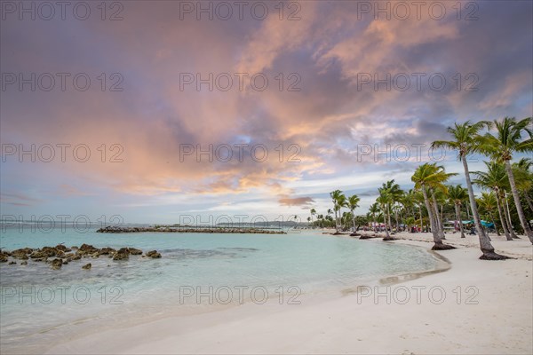 Caribbean dream beach with palm trees, white sandy beach and turquoise-coloured, crystal-clear