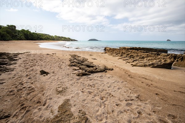 Lonely, wide sandy beach with turquoise-coloured sea. Tropical plants in a bay in the Caribbean