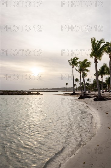 Caribbean dream beach with palm trees, white sandy beach and turquoise-coloured, crystal-clear