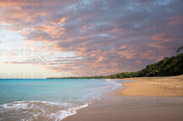 Lonely, wide sandy beach with turquoise-coloured sea. Tropical plants in a bay at sunset in the