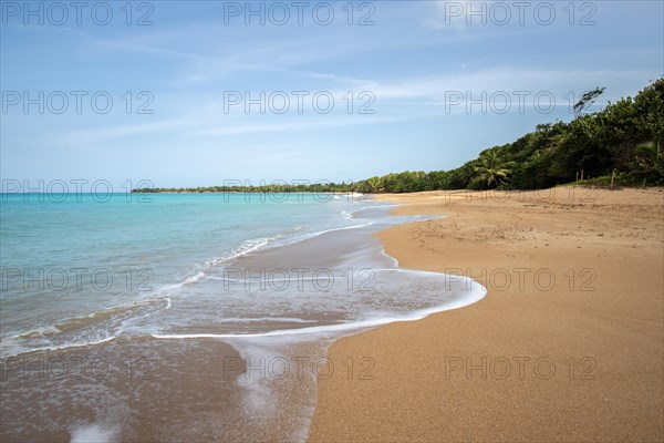 Lonely, wide sandy beach with turquoise-coloured sea. Tropical plants in a bay in the Caribbean