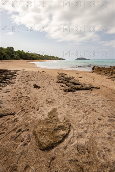 Lonely, wide sandy beach with turquoise-coloured sea. Tropical plants in a bay in the Caribbean