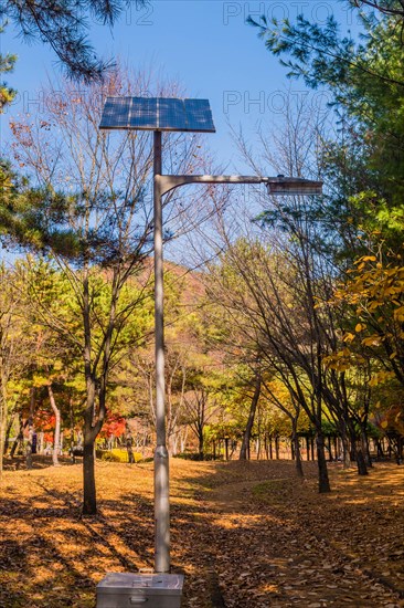 Street light on metal pole powered by solar panel next to walking trail in public park on sunny