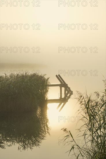 Sunrise and morning fog, Geroldsee or Wagenbruechsee, Kruen near Mittenwald, Werdenfelser Land,