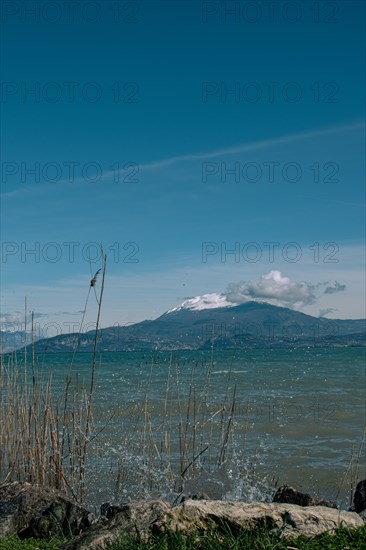 View over Lake Garda to snow-covered mountains with reeds in the foreground under a clear blue sky,