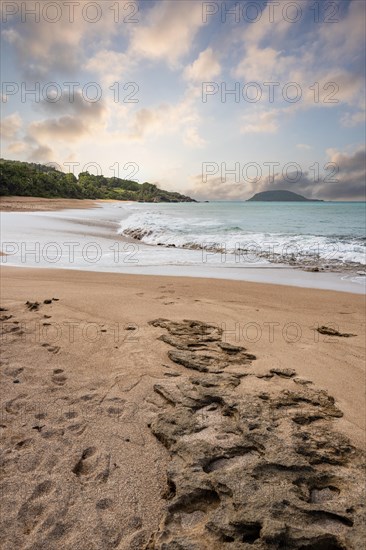 Lonely, wide sandy beach with turquoise-coloured sea. Tropical plants in a bay at sunset in the