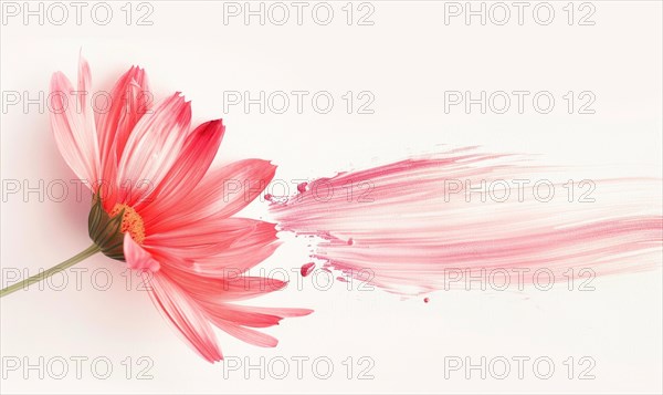 A lone brush stroke creating a chamomile petal. Pastel pink paint stroke and pink flower on white