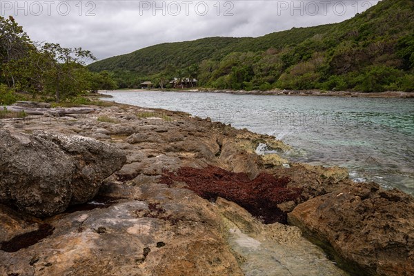 Rocky coast, long bay by the sea at sunset. Dangerous view of the Caribbean Sea. Tropical climate