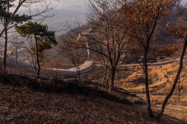 Section of mountain fortress wall behind leafless trees on top on winter morning with clear blue
