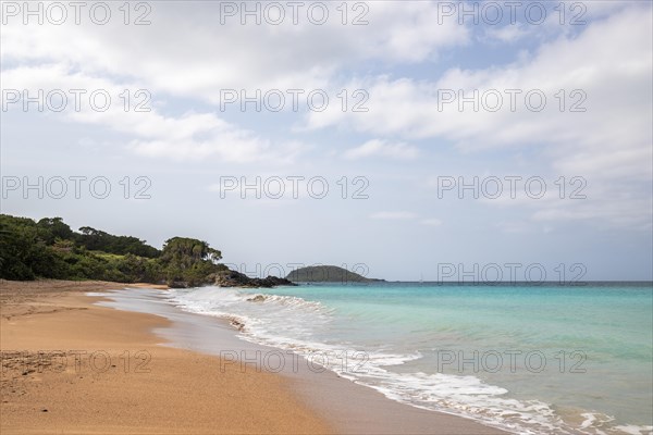 Lonely, wide sandy beach with turquoise-coloured sea. Tropical plants in a bay in the Caribbean