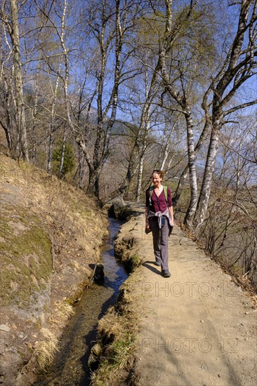 Partschinser Waalweg, Partschinser Sagenweg, Partschins, Vinschgau Valley, South Tyrol, Italy,