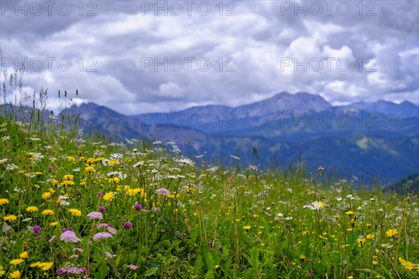 Stuempflingalmen on the way to Rosskopf, Rosskopf, Spitzingsee area, Bavarian local mountains,
