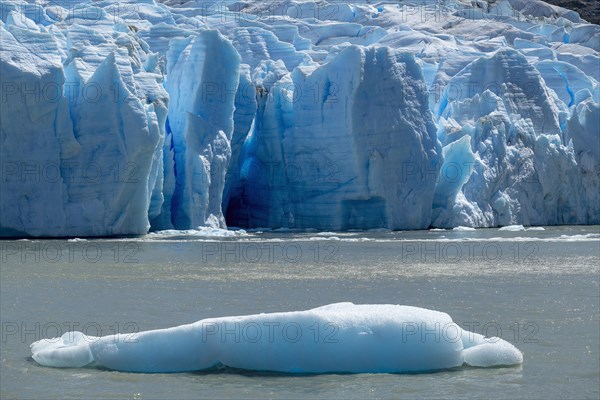 Glacier, floating ice, Lago Grey, Torres del Paine National Park, Parque Nacional Torres del Paine,
