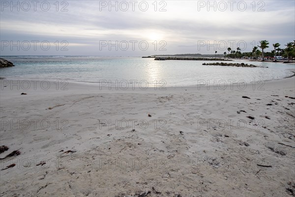 Caribbean dream beach with palm trees, white sandy beach and turquoise-coloured, crystal-clear