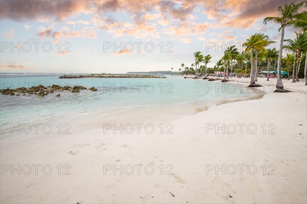 Caribbean dream beach with palm trees, white sandy beach and turquoise-coloured, crystal-clear