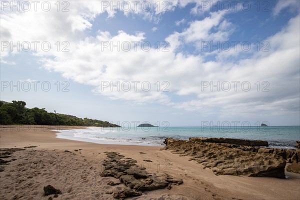 Lonely, wide sandy beach with turquoise-coloured sea. Tropical plants in a bay in the Caribbean