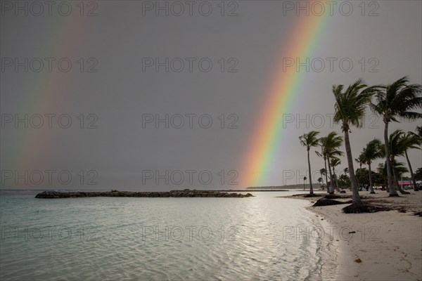 Caribbean dream beach with palm trees, white sandy beach and turquoise-coloured, crystal-clear