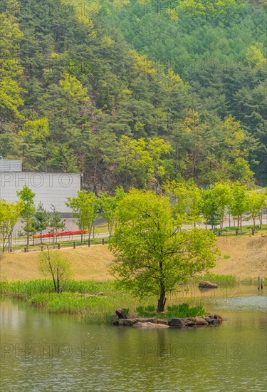 Tree on small man made island in center of lake with lush forest behind building in background in