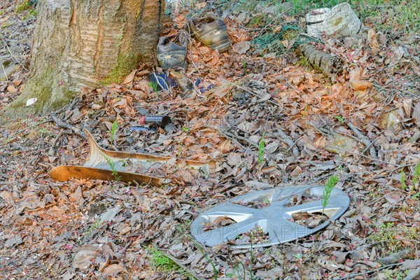 A scene of litter with a hubcap and a shoe among forest debris, highlighting pollution, in South