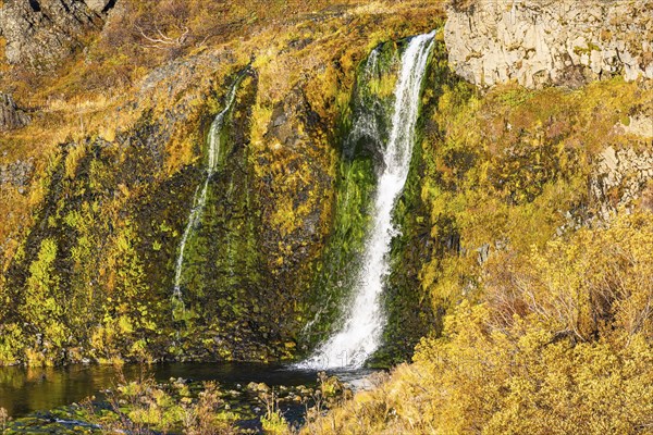 Small foaming waterfalls cascading from a rock face, in the evening light, Sudurland, Iceland,