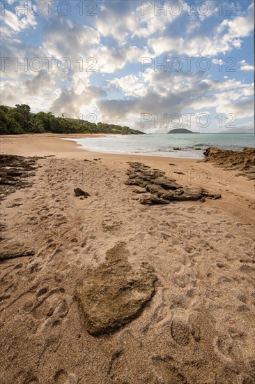 Lonely, wide sandy beach with turquoise-coloured sea. Tropical plants in a bay in the Caribbean