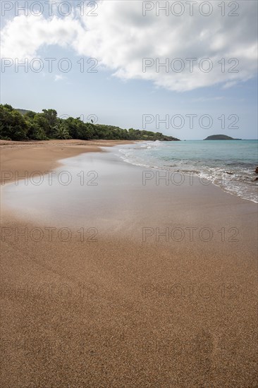 Lonely, wide sandy beach with turquoise-coloured sea. Tropical plants in a bay in the Caribbean