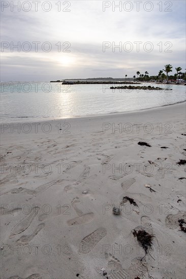Caribbean dream beach with palm trees, white sandy beach and turquoise-coloured, crystal-clear