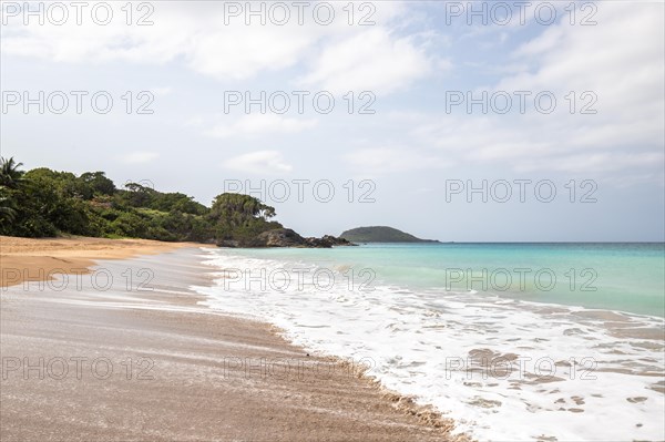 Lonely, wide sandy beach with turquoise-coloured sea. Tropical plants in a bay in the Caribbean