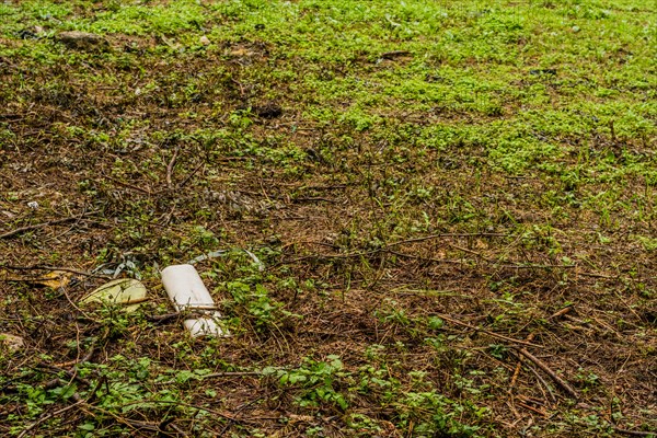 A discarded plastic bottle on the ground highlights an environmental pollution issue, in South