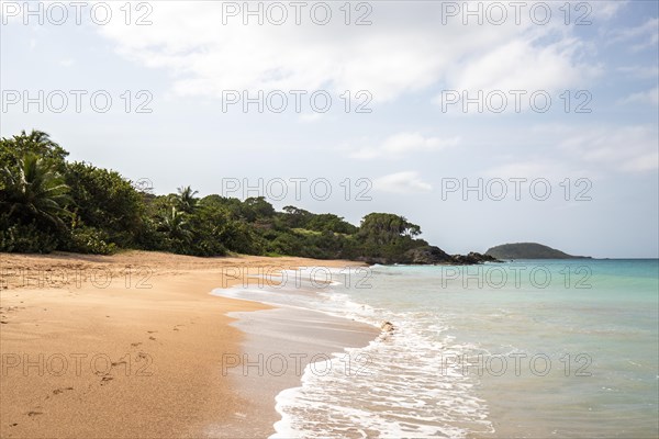 Lonely, wide sandy beach with turquoise-coloured sea. Tropical plants in a bay in the Caribbean