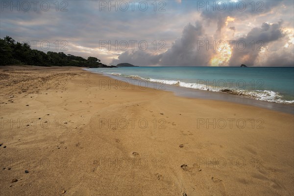 Lonely, wide sandy beach with turquoise-coloured sea. Tropical plants in a bay at sunset in the