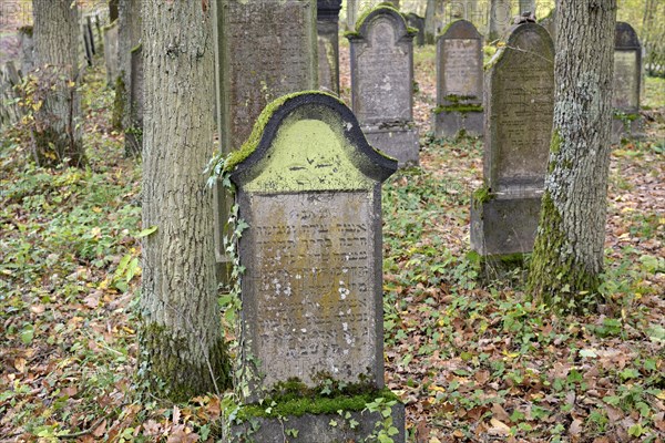 Jewish cemetery, weathered gravestones, wine village Beilstein, Moselle, Rhineland-Palatinate,