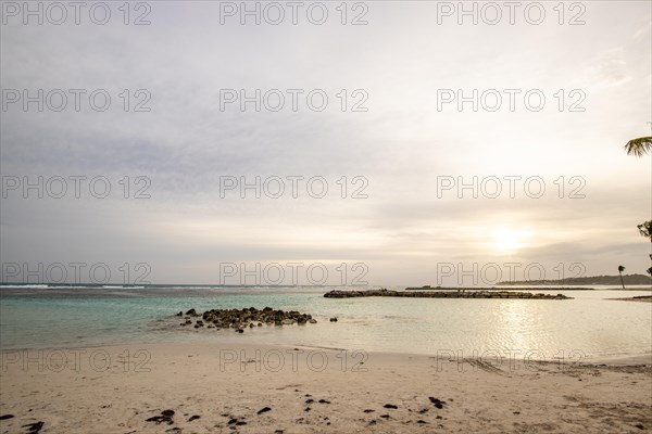 Caribbean dream beach with palm trees, white sandy beach and turquoise-coloured, crystal-clear