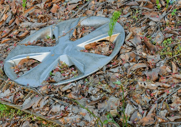 An abandoned car hubcap amidst fallen leaves and forest debris, indicating pollution, in South