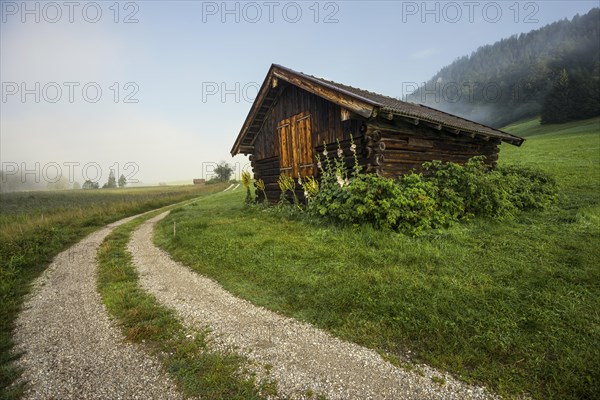 Sunrise and morning fog, Geroldsee or Wagenbruechsee, Kruen near Mittenwald, Werdenfelser Land,
