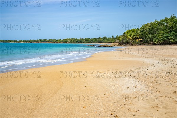 Lonely, wide sandy beach with turquoise-coloured sea. Tropical plants in a bay in the Caribbean