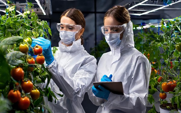 Biologists in protective suits grow vegetables in the lab, the concept of biotechnology, plant care