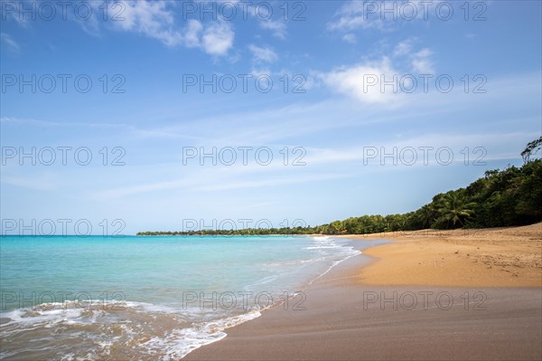 Lonely, wide sandy beach with turquoise-coloured sea. Tropical plants in a bay in the Caribbean