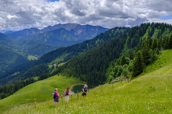 Hiker on the Rosskopf, Rosskopf, Spitzingsee area, Bavarian local mountains, Alps, Upper Bavaria,