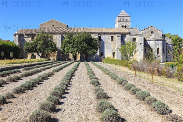 Vincent van Gogh lived until his death in St Paul Hospital, Saint-Remy-de-Provence,