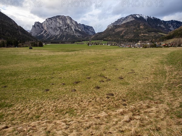 Mountain panorama, Pribitz mountain, Messnerin mountain, Oberort, panoramic view, municipality of