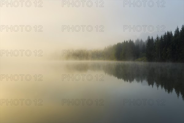 Sunrise and morning fog, Geroldsee or Wagenbruechsee, Kruen near Mittenwald, Werdenfelser Land,