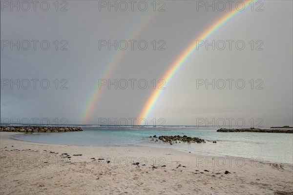 Caribbean dream beach with palm trees, white sandy beach and turquoise-coloured, crystal-clear